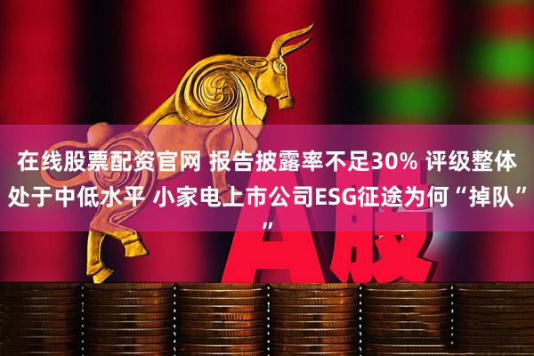 在线股票配资官网 报告披露率不足30% 评级整体处于中低水平 小家电上市公司ESG征途为何“掉队”