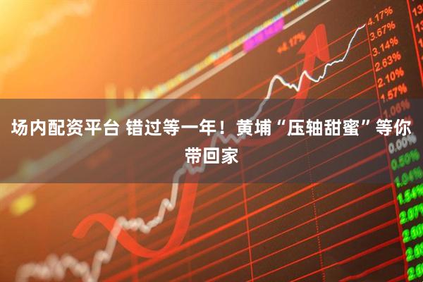 场内配资平台 错过等一年！黄埔“压轴甜蜜”等你带回家